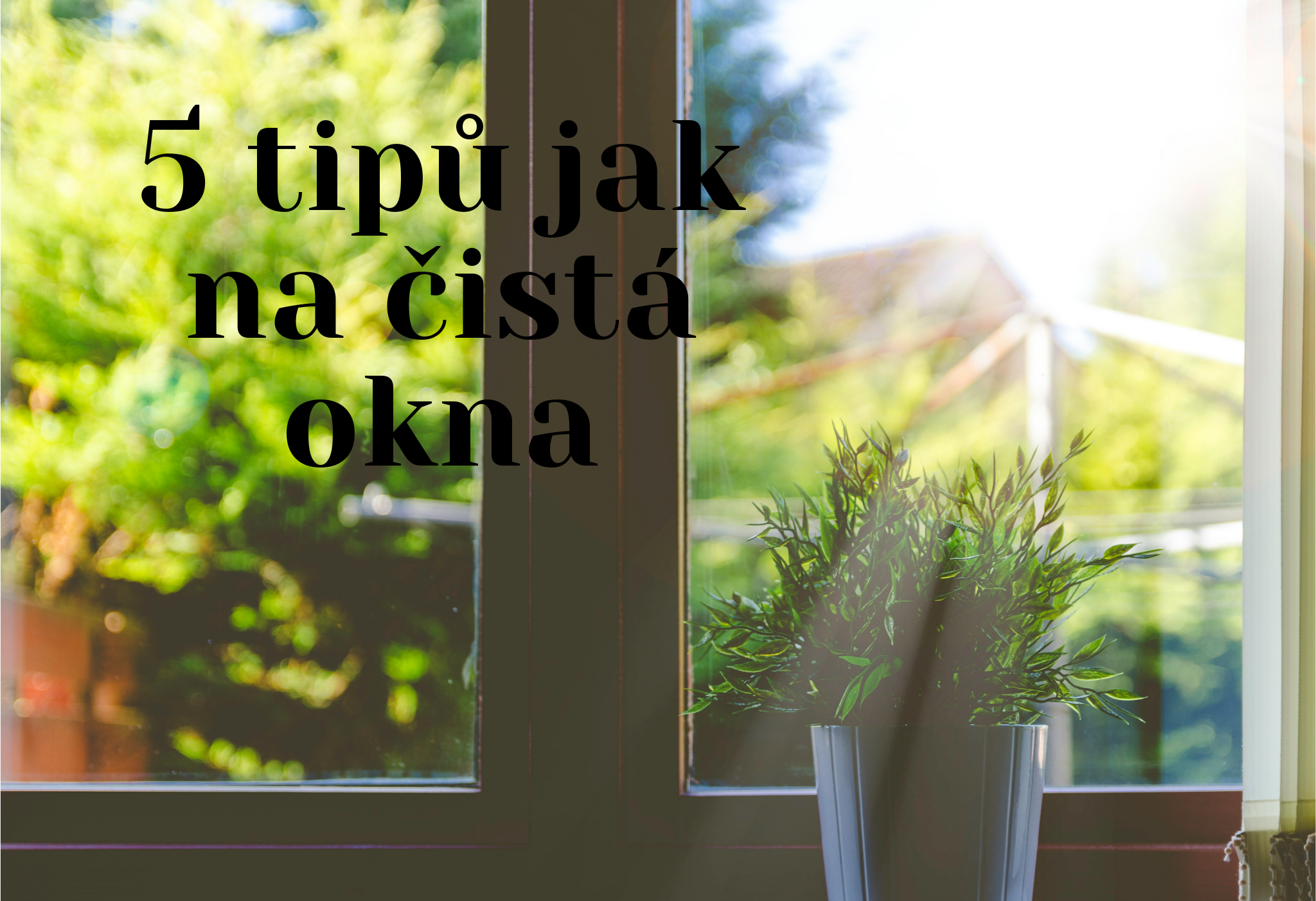 JAK NA ÚKLID